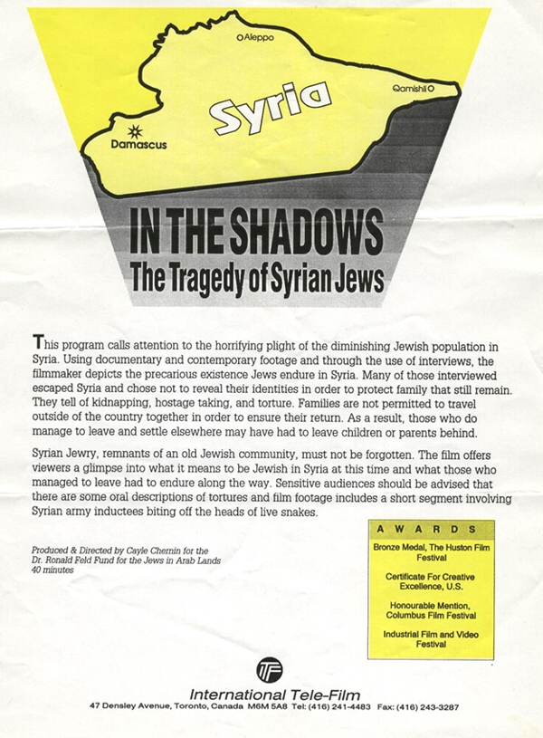 In The Shadows One-Sheet